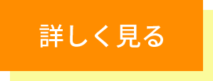 詳しく見る